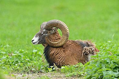 《暗影诅咒：复刻版》2024年推出 登陆全平台