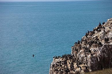 《匹诺曹的谎言》启动！ 游戏于 9月16 日进入预先体验阶段！